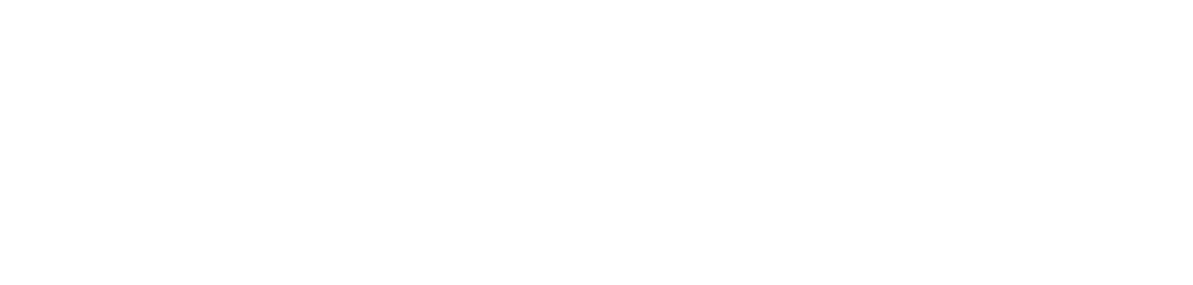 Tanzanite Home Care LLC